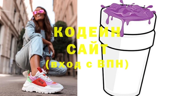 Альфа ПВП Горняк