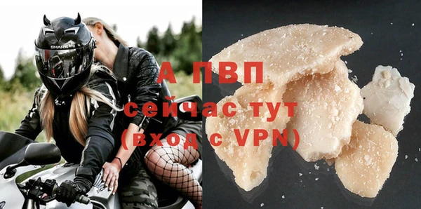 Альфа ПВП Горняк
