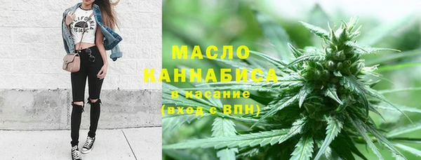 Альфа ПВП Горняк