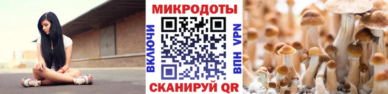 что такое наркотик  Дзержинск  Псилоцибиновые грибы Magic Shrooms 